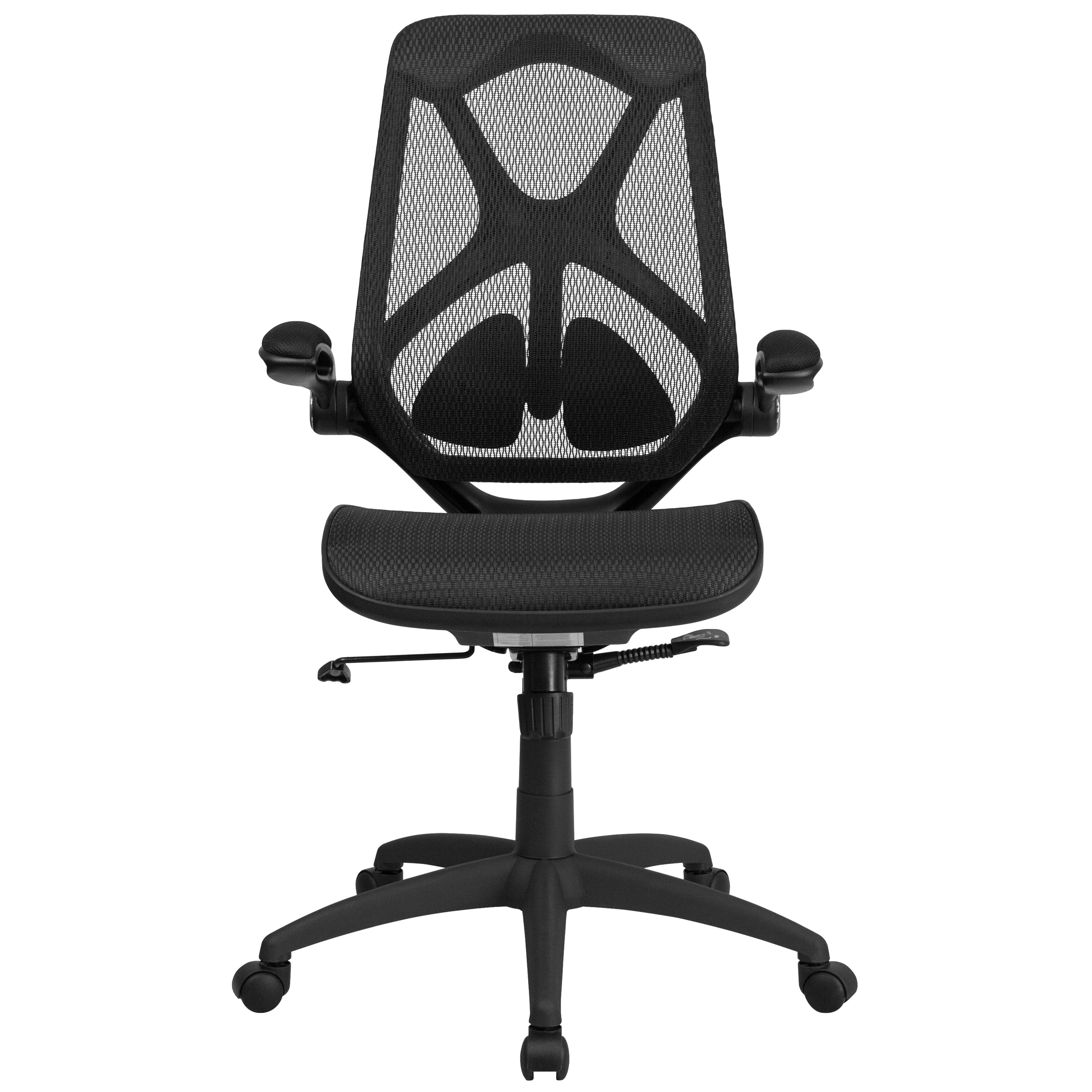 High Back Mesh Ergonomic Office Chair-Adjustable Lumbar, 2-Paddle Control
