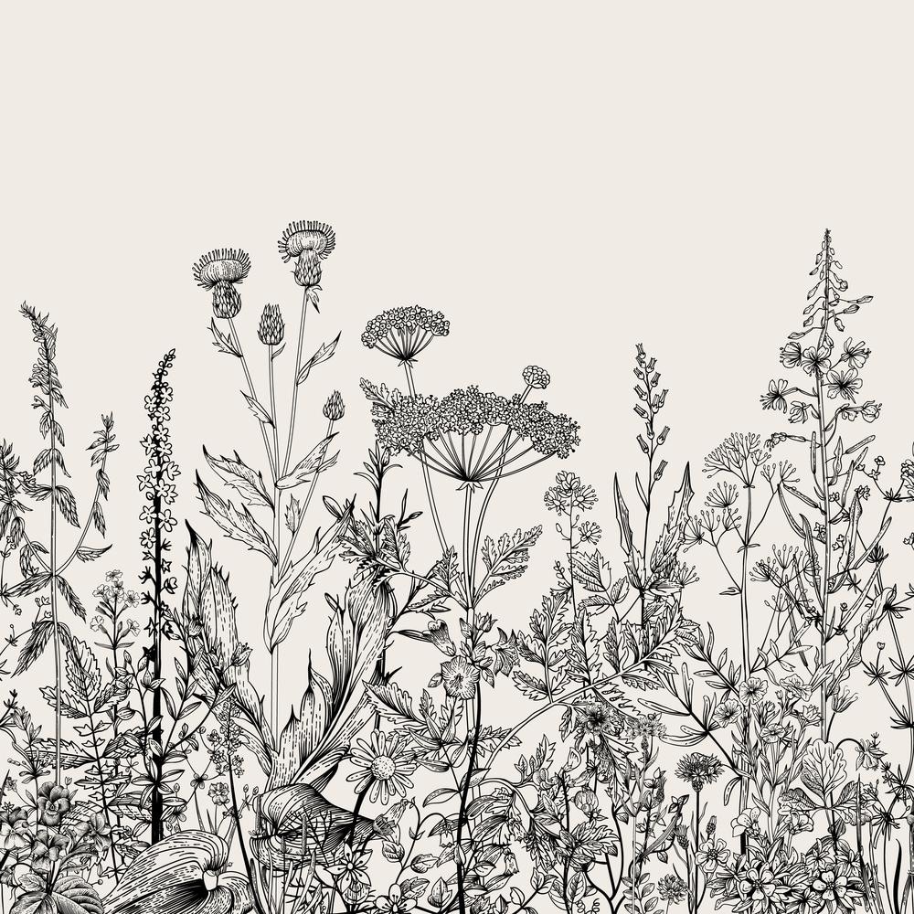 Black and White Floral Garden Plants Drawing Removable Wallpaper