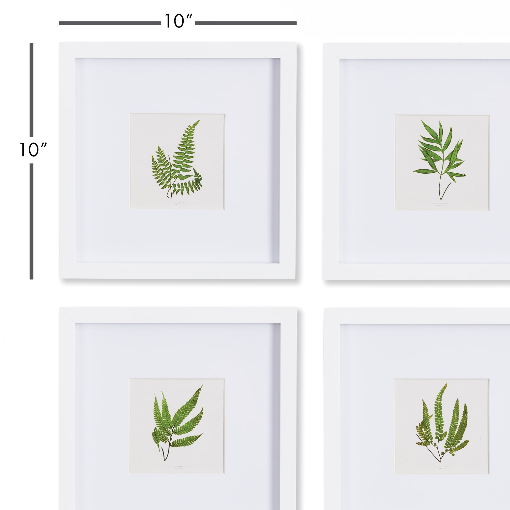 Forest Greenery Petite Prints, Set Of 4