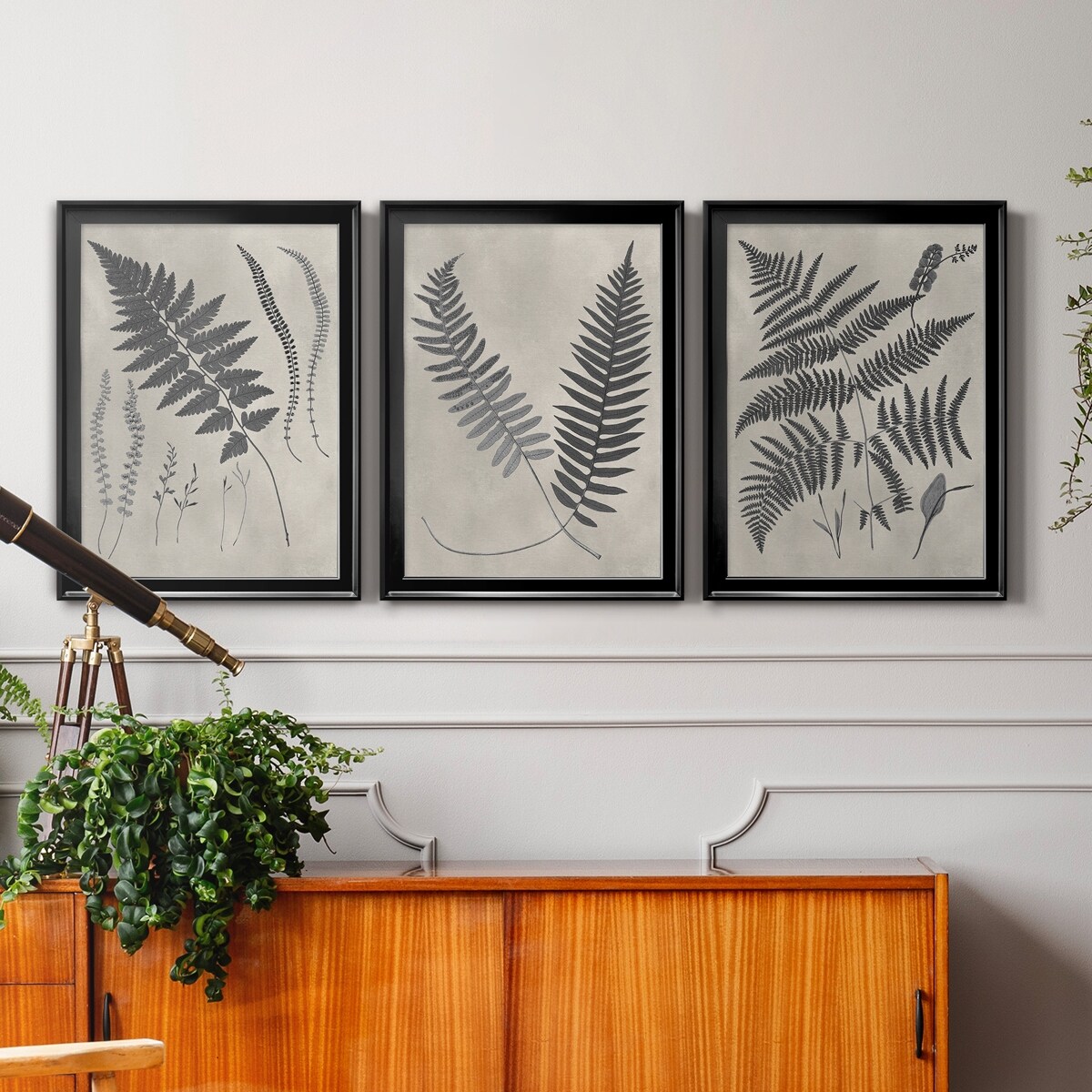 Vintage Fern Study II Premium Framed Canvas - Ready to Hang - Multi-Color