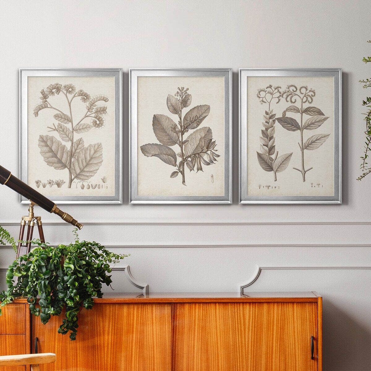Antique Sepia Botanicals IV Premium Framed Canvas - Ready to Hang - Multi-Color