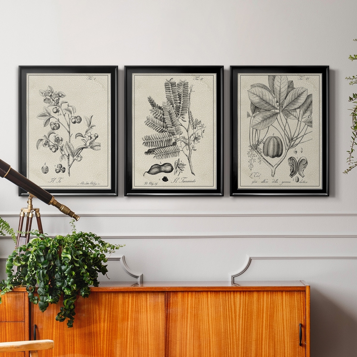 Antique Black & White Botanical IV Premium Framed Canvas - Ready to Hang - Multi-Color