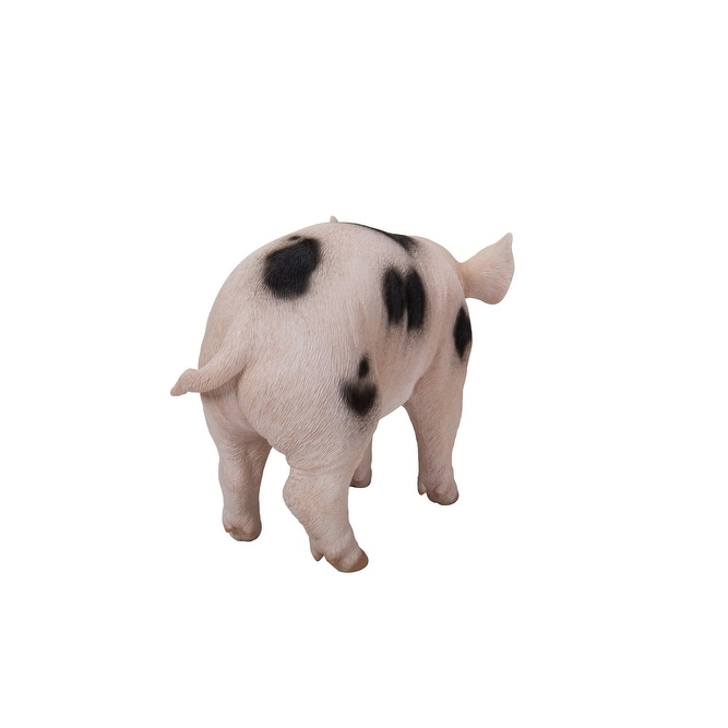 Standing Baby Pig With Black Spots