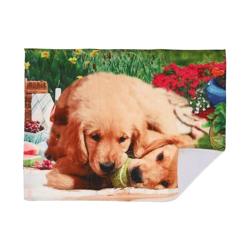 Microfibre Drying Mat (Dogs Chewing Ball) - Set of 2