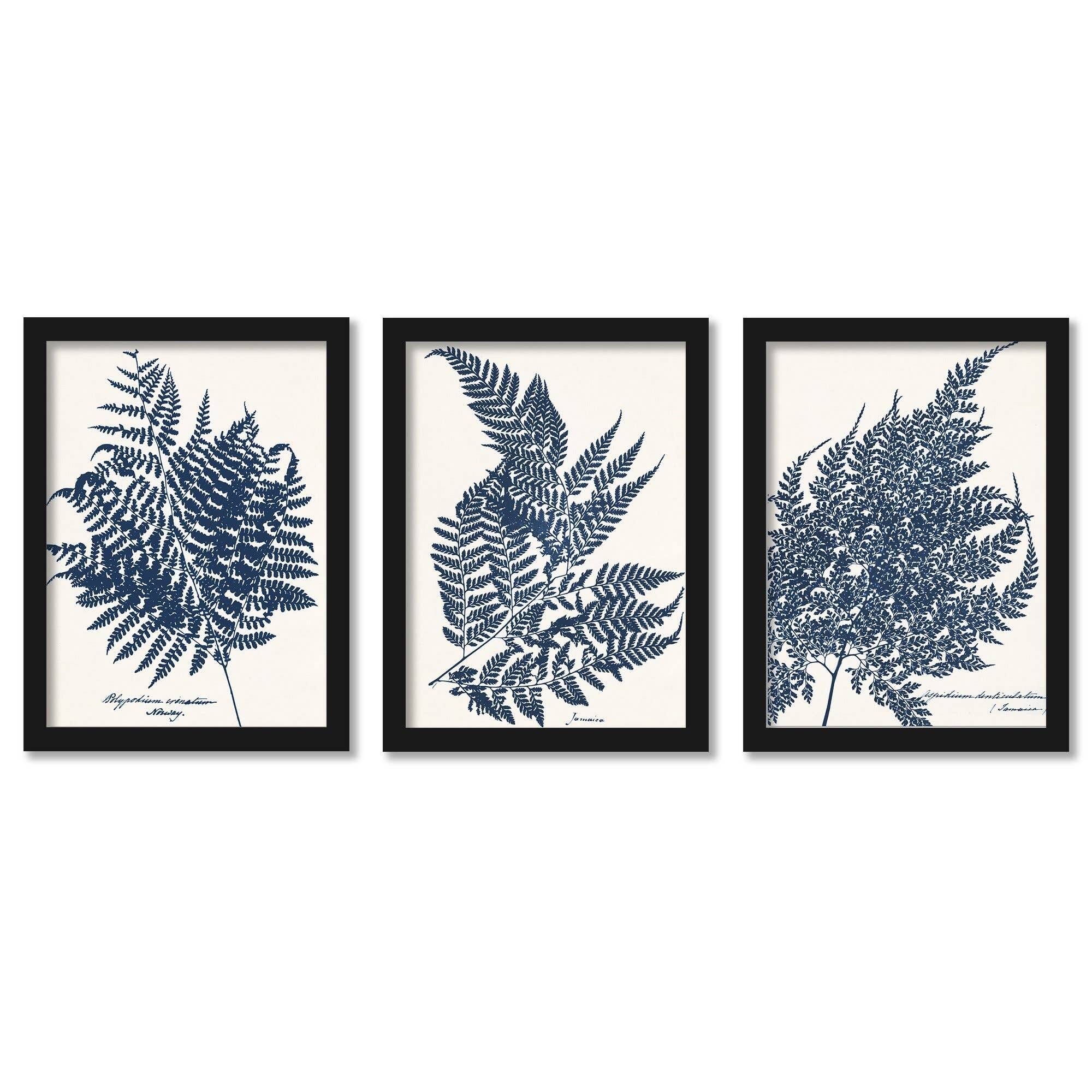 Blue Fern Chaos & Wonder Design Botanical 2 - 3 Piece Framed Gallery Art Set