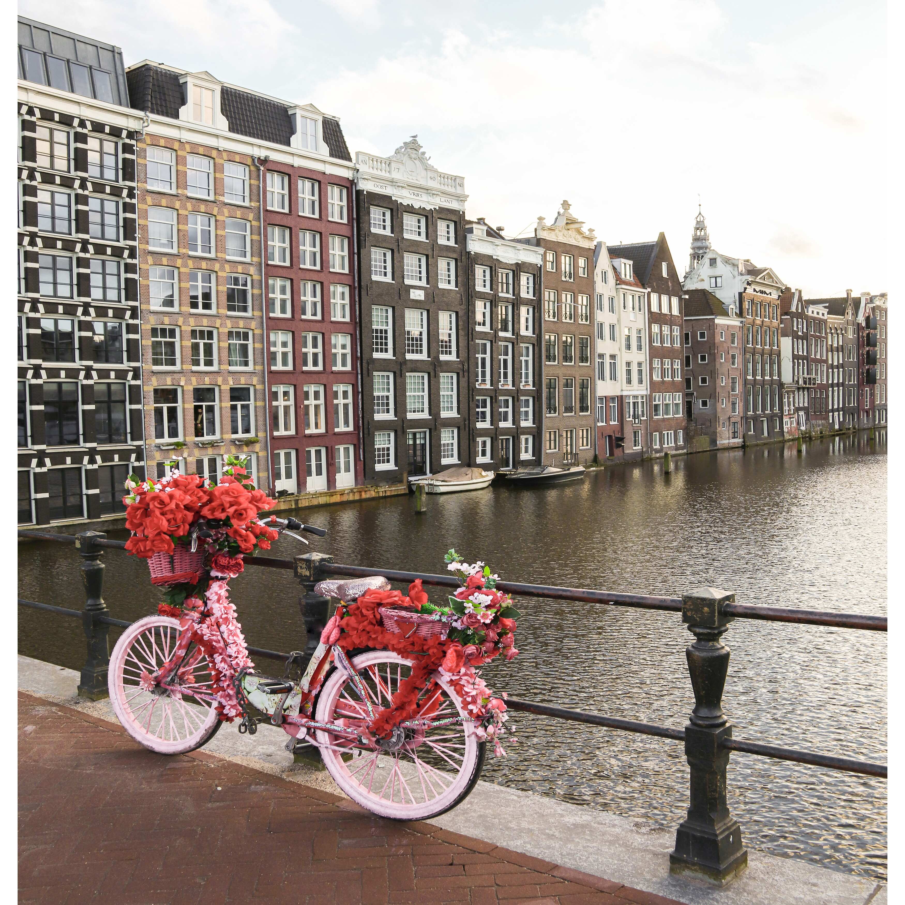Pink Bike In Amsterdam by Henrike Schenk - Shower Curtain - Americanflat