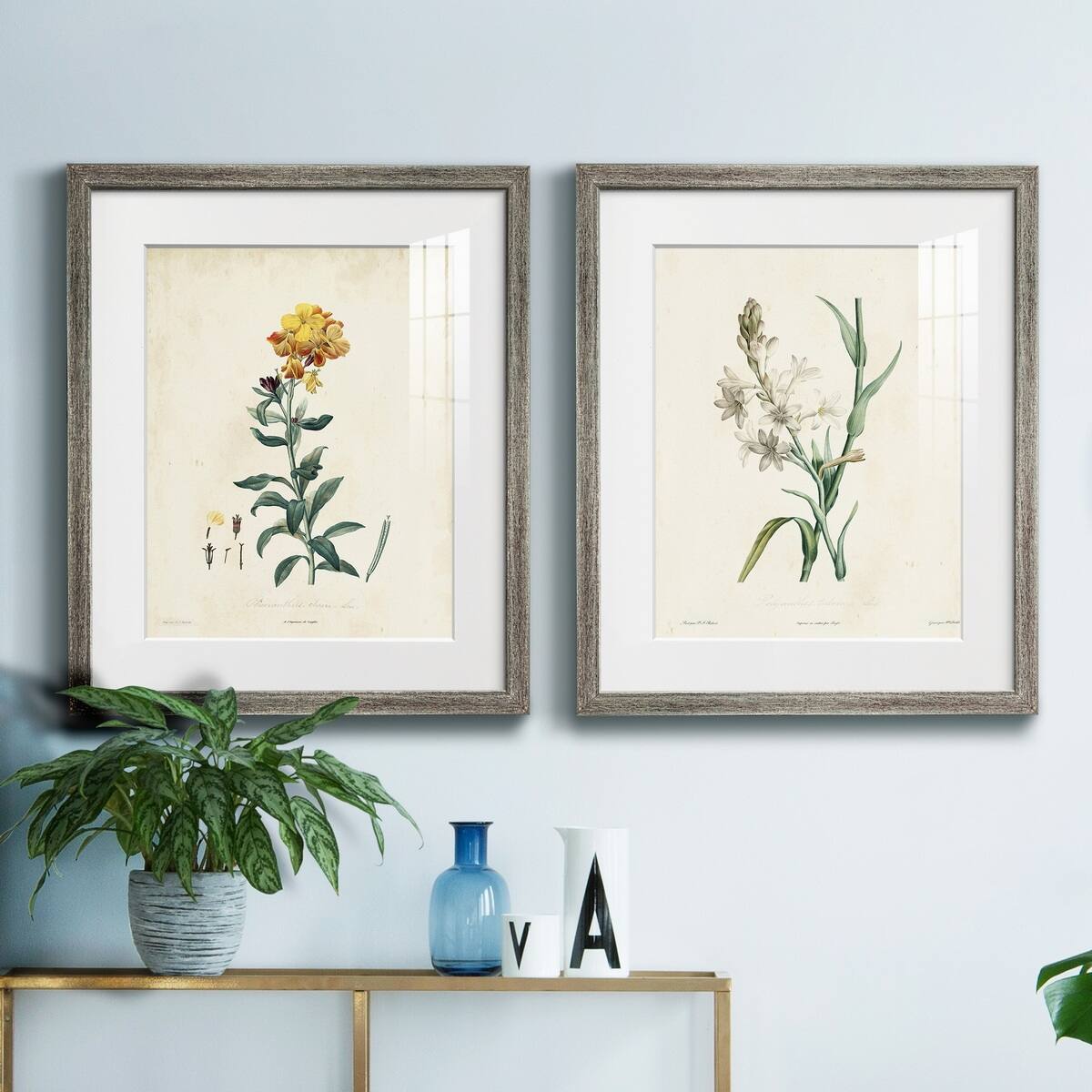 Traditional Botanical III Premium Framed Print - Ready to Hang