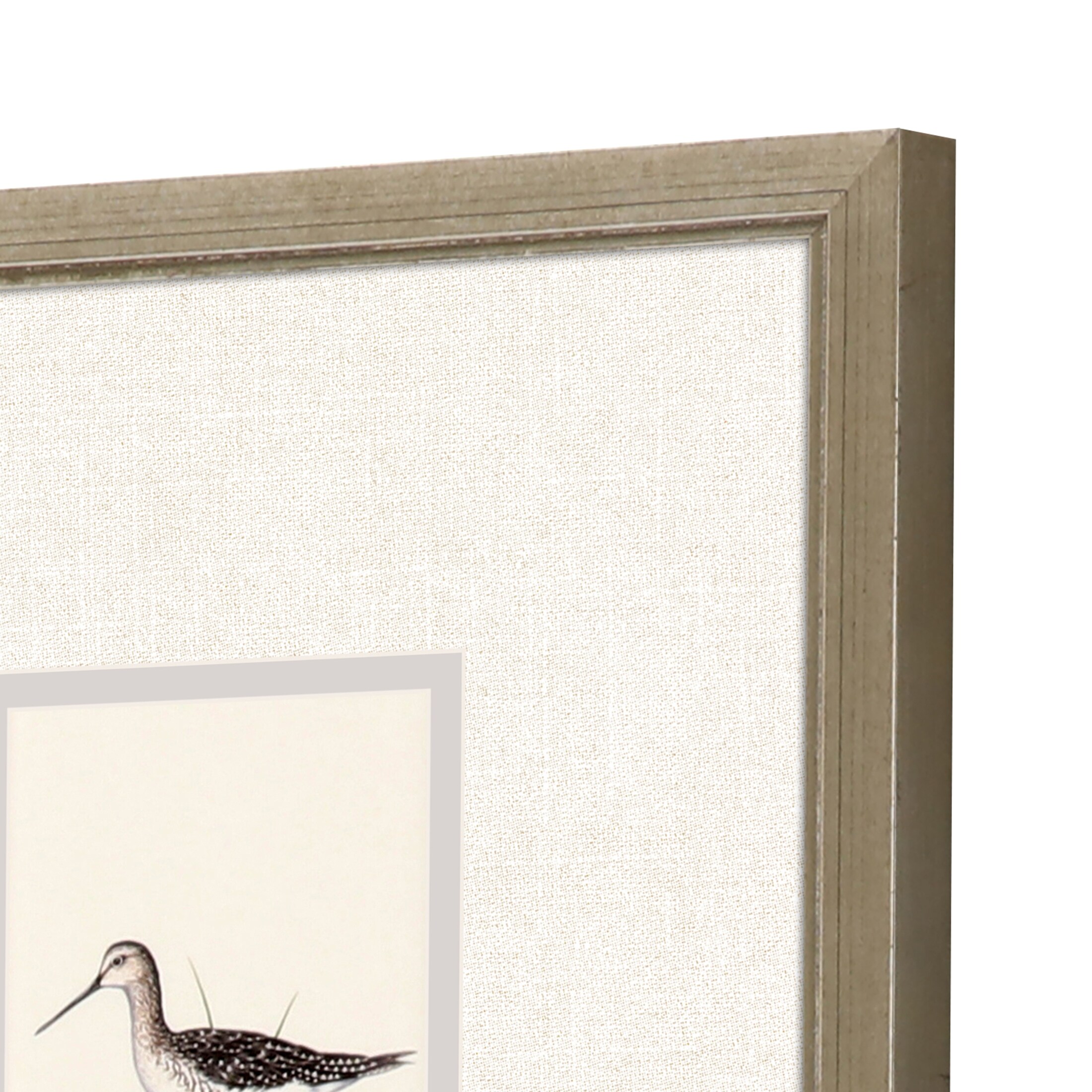 Shorebirds S/4 Framed Art Under Glass - Brown