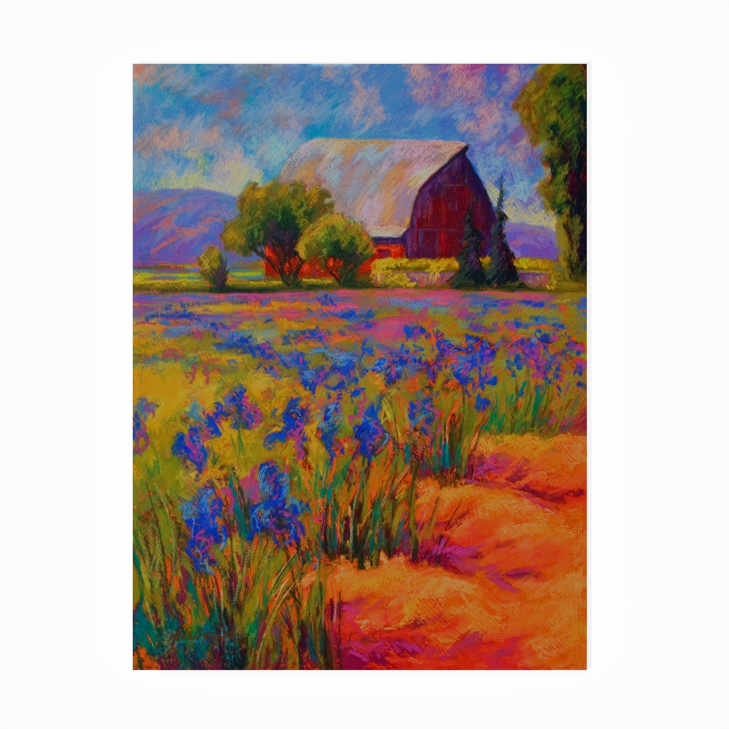 Marion Rose 'Iris Field 2' Outdoor Canvas