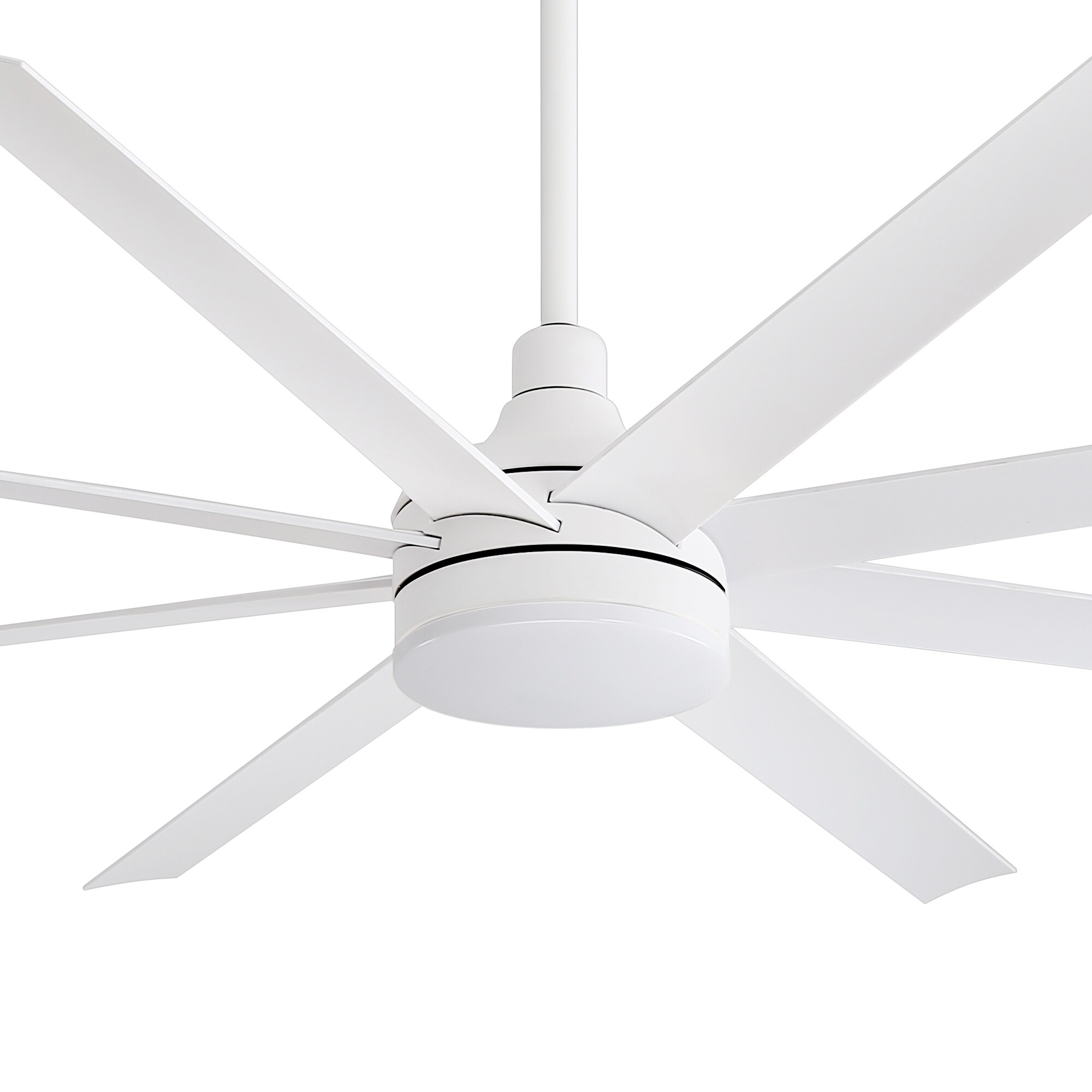 65" 8 Blade Black/White Ceiling Fans with LED Lights Remote Control